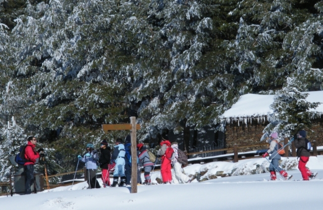 Descubre Sierra Nevada con raquetas